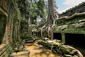 Temple de Ta Prohm